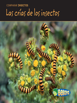 cover image of Las crías de los insectos